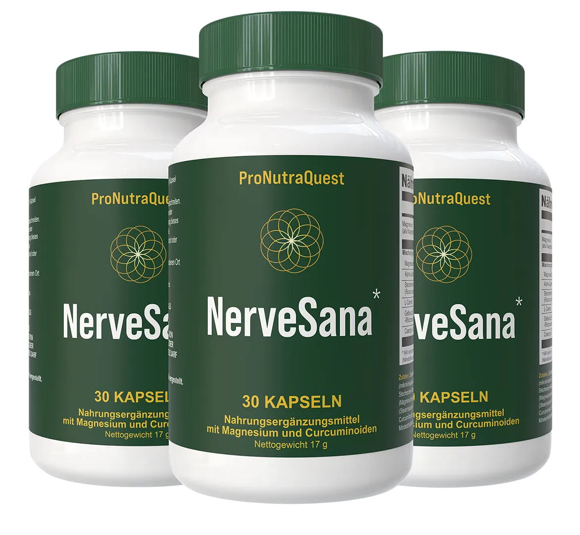 NerveSana Kapseln 3 Flaschen